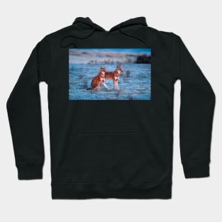 Red fox-amazing picture Hoodie